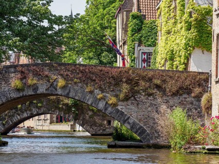 Historic stone bridge over a quiet canal, surrounded by green trees and ivy, historic city by the