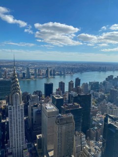 Daytime view of a large city with a view of the river and numerous skyscrapers, including the