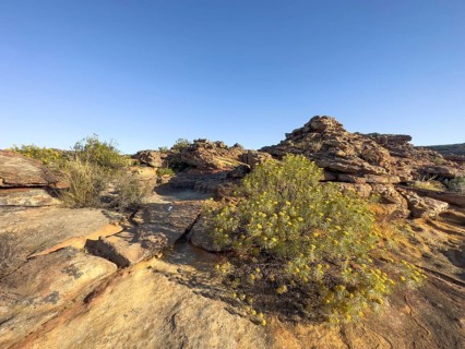Hiking trail Sevilla Art Rock Trail, dry landscape with yellow and red rocks, Cederberg Mountains,