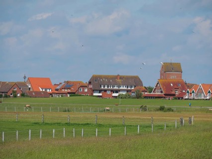 Green fields and fences with a village in the background, sky slightly cloudy, Baltrum Germany