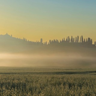 Sunrise in the Crete Senesi, Province of Siena, Tuscany, Italy, Europe