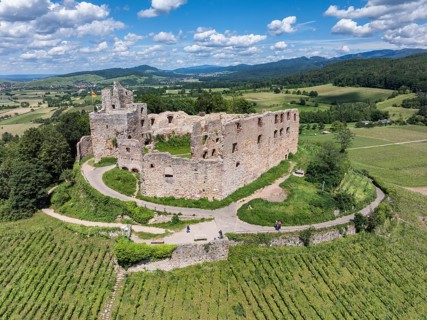 Aerial view of Staufen Castle, on a vineyard, Schlossberg, Staufen im Breisgau, Markgraeflerland,