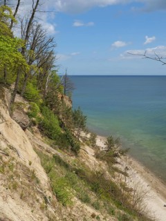 A steep coastal slope, lined with green trees, overlooking a small stretch of beach and the calm