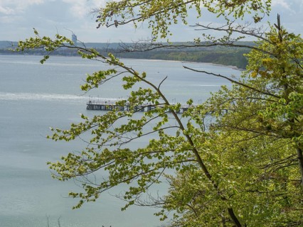 View of a coastal village with a jetty in the calm sea, framed by green trees under a slightly