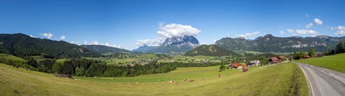 Cows grazing in a meadow, Ennstal, Grimming in the background, panoramic view, near Aigen im