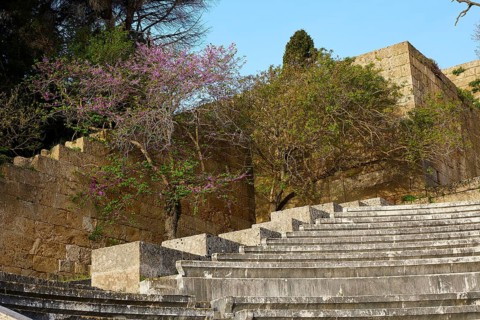 Ancient amphitheatre with stone seating steps surrounded by flowering trees, Archaeological Site,