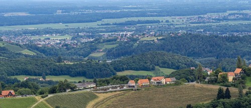 Hilly landscape, vineyards, panoramic view, view from the Demmerkogel lookout point, St.