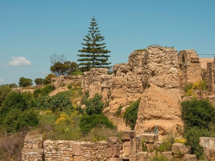 Historic ruins with vegetation and trees against a clear sky, Tunis in Africa with Roman ruins,