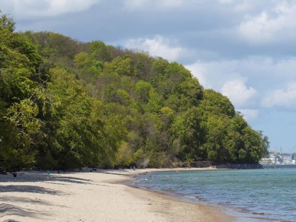 Long sandy beach with dense forest in the background, under a partly cloudy sky, Green trees on a