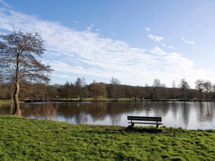 Park bench on the lakeshore with a wide view of the grassy banks and wooded background, small lake