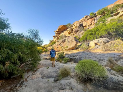 Hikers on the Seville Art Rock Trail, dry landscape with yellow rocks, Cederberg Mountains, near