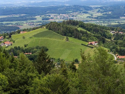 Hilly landscape, vineyards, view from the Demmerkogel lookout point, St. Andrae-Hoech, Sausal wine
