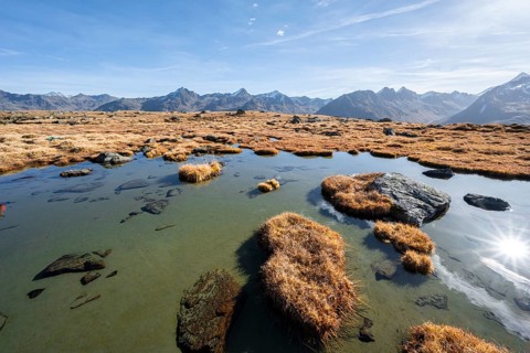 Small lake on the high plateau of the Gurgler Seenplatte, glaciated mountain peaks in the