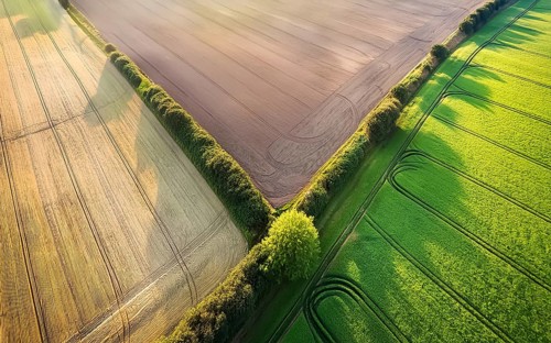 Field hedges from above, between the fields serve as biotope and protection against soil erosion,