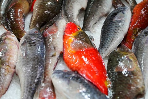 Market hall, Mercado de Nuestra Senora de Africa, Santa Cruz de Tenerife, Tenerife, Canary Islands,