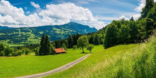 Alpine pasture landscape, behind it the Gruenten, 1783m, Oberallgaeu, Bavaria, Germany, Europe
