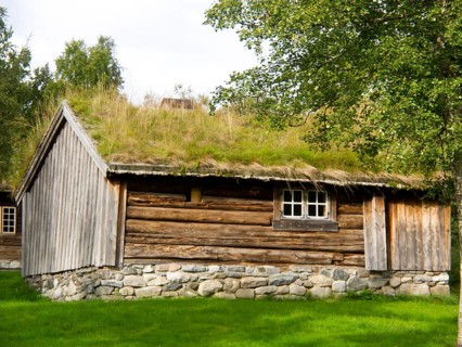 Rustic wooden hut with grass roof surrounded by green trees in a natural environment, grey wooden