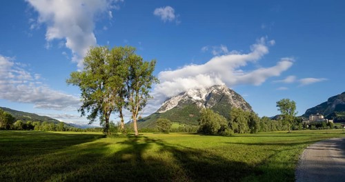 Trees in a meadow, Grimming mountain range in the morning light, panoramic shot, near Irdning,