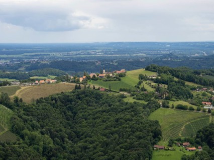 Hilly landscape, vineyards, view from the Demmerkogel lookout point, St. Andrae-Hoech, Sausal wine