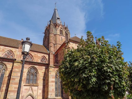 Gothic style church with high tower and trees in the foreground under a blue sky, historic house