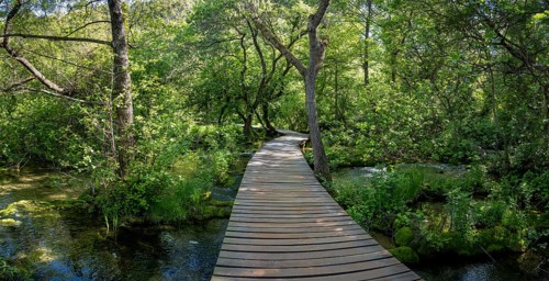 Wooden footbridge in Krka National Park, Krka Waterfalls, Dalmatia, Croatia, Europe