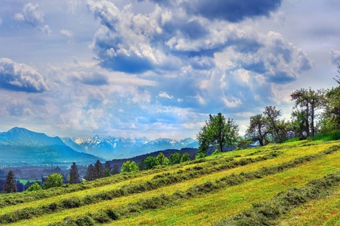 Spring, meadow with the first mowing and dramatic cloud formation over the Alps, Allgaeu, Bavaria,