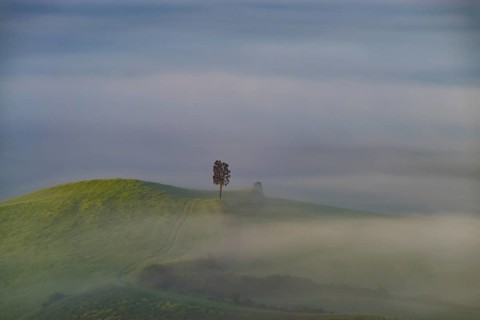 Landscape at sunrise around Volterra, Province of Pisa, Tuscany, Italy, Europe