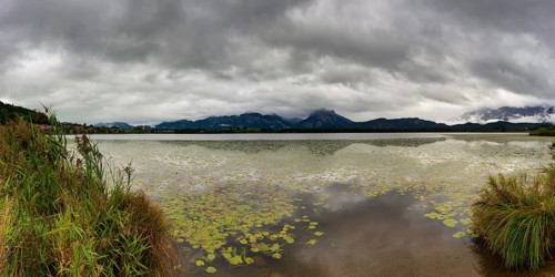 Hopfensee, near Fuessen, Ostallgaeu, Allgaeu, Bavaria, Germany, Europe