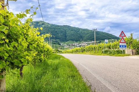 World Heritage Site, wine route, road, car, landscape, wine tour, wine press, wine-growing area,