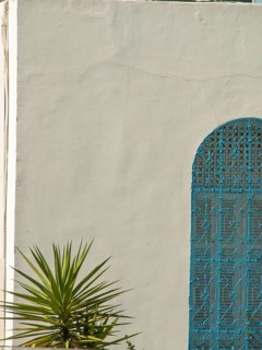 Minimalist facade with an ornate iron window and a small palm tree, Tunis in Africa with ruins from