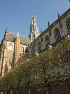 Gothic brick church with bare trees in front, Haarlem, Netherlands