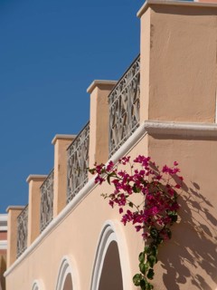 Bougainvillea on a Mediterranean style building with balcony and blue sky, The volcanic island of