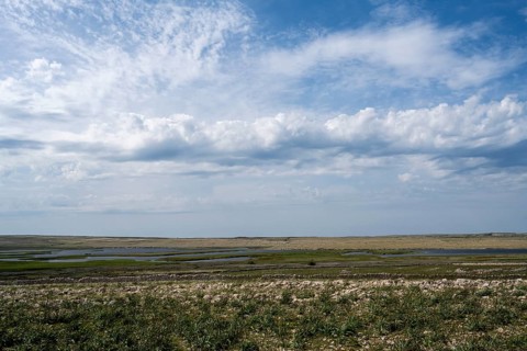 Veliko Blato bird sanctuary, Pag island, Zadar, Dalmatia, Croatia, Europe