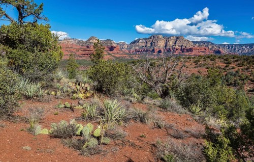 Red rock sandstone formations of Sedona, Arizona, United States of America, USA, North America