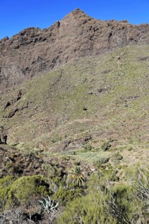 Mountain village Masca, Masca Gorge, Montana Teno Mountains, Tenerife, Canary Islands, Spain,