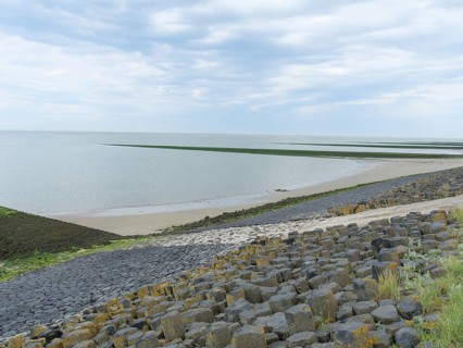 Stony coast with green seaweed and rocky beach in a relaxed atmosphere under a cloudy sky, Baltrum