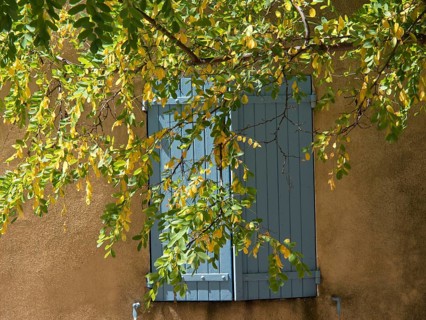A window with blue shutters, surrounded by green and yellow leaves of a tree, Provence, le