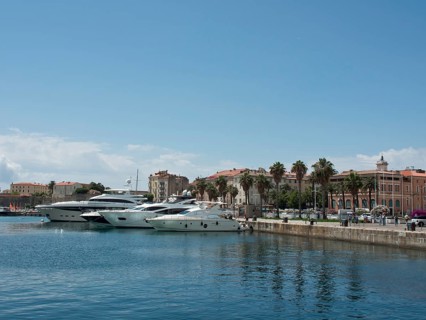 Harbour with several yachts, surrounded by houses and palm trees, on a clear sunny day, Corsica,
