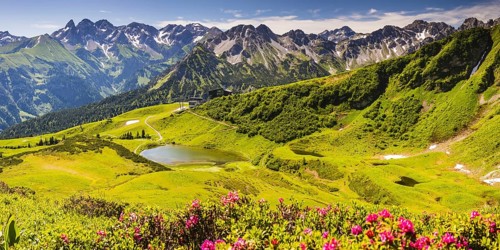 Alpine rose blossom, panorama from the Fellhorn over the Schlappoldsee and mountain station of the