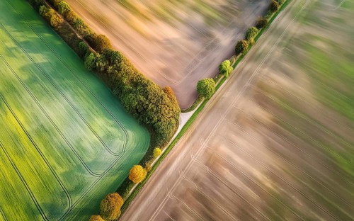 Field hedges from above, between the fields serve as biotope and protection against soil erosion,