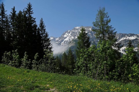 Rossfeld-Hoehenstrasse, view of Hoher Goell, Berchtesgaden, Bavaria, Germany, Europe