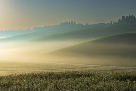 Sunrise in the Crete Senesi, Province of Siena, Tuscany, Italy, Europe