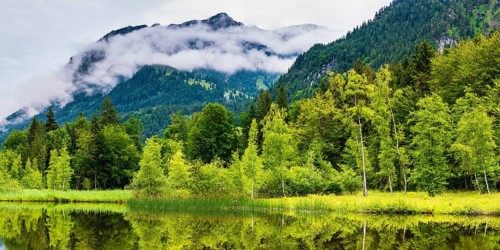 Water reflection in the moor pond, near Oberstdorf, Oberallgaeu, Allgaeu, Bavaria, Germany, Europe