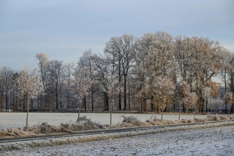 A winter landscape with frozen field, trees and road under a cloudy sky, Frosty winter time in the