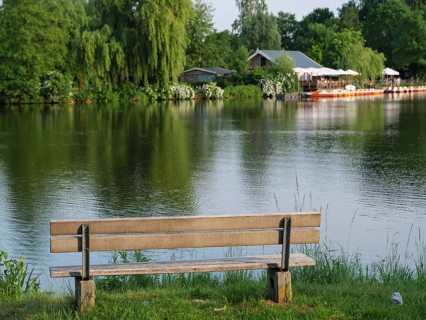 A bench on the lakeshore with a view of calm reflecting water and trees, small lake with tree