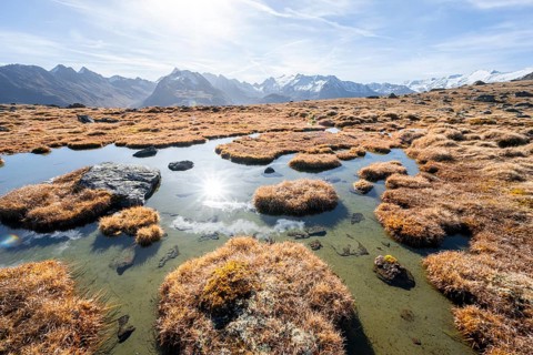 Small lake on the high plateau of the Gurgler Seenplatte, glaciated mountain peaks in the