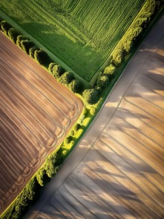 Field hedges from above, between the fields serve as biotope and protection against soil erosion,