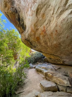 Prehistoric depiction on a rock, San rock paintings, Sevilla Art Rock Trail, Cederberg Mountains,