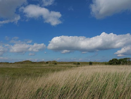 A wide grassy landscape under a blue sky with white clouds, the summery feeling of freedom, Baltrum