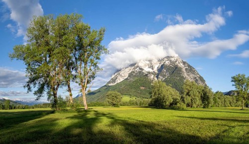 Meadow and trees, with the Grimming massif in the background in the morning light, near Irdning,